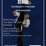 STAGE TECHNIQUE ET STRATEGIE ARTS MARTIAUX